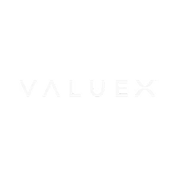 ValueX Logo